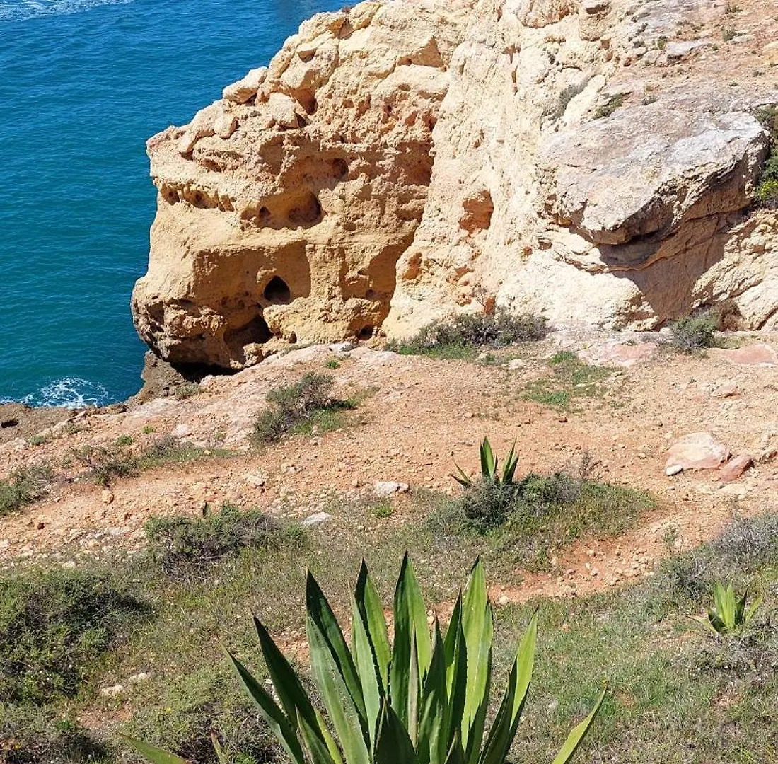 Διαμέρισμα Apartamento Neptuno Carvoeiro